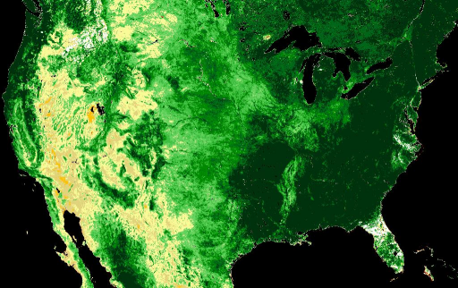 USA_NDVI