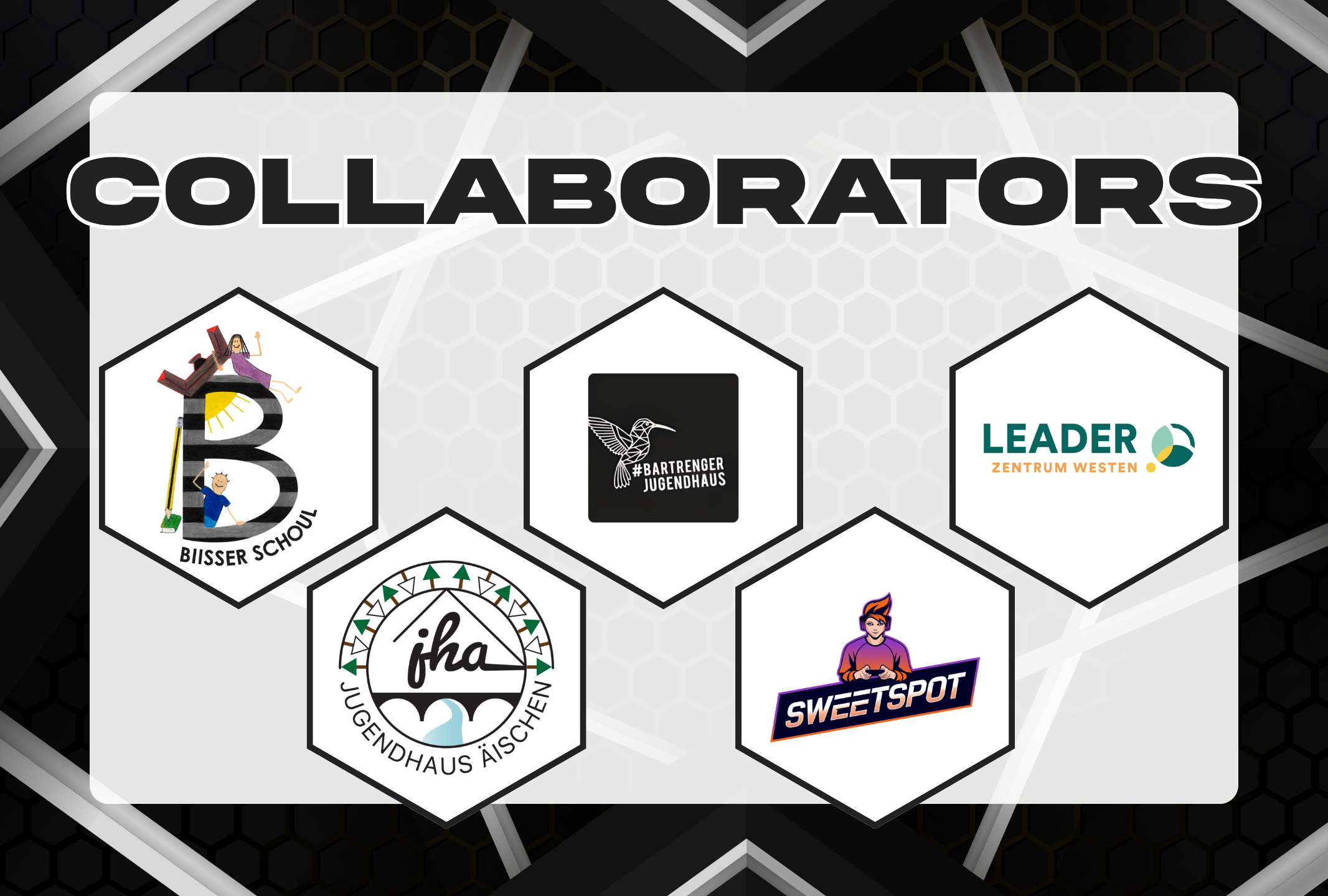 Collaborator picture 1