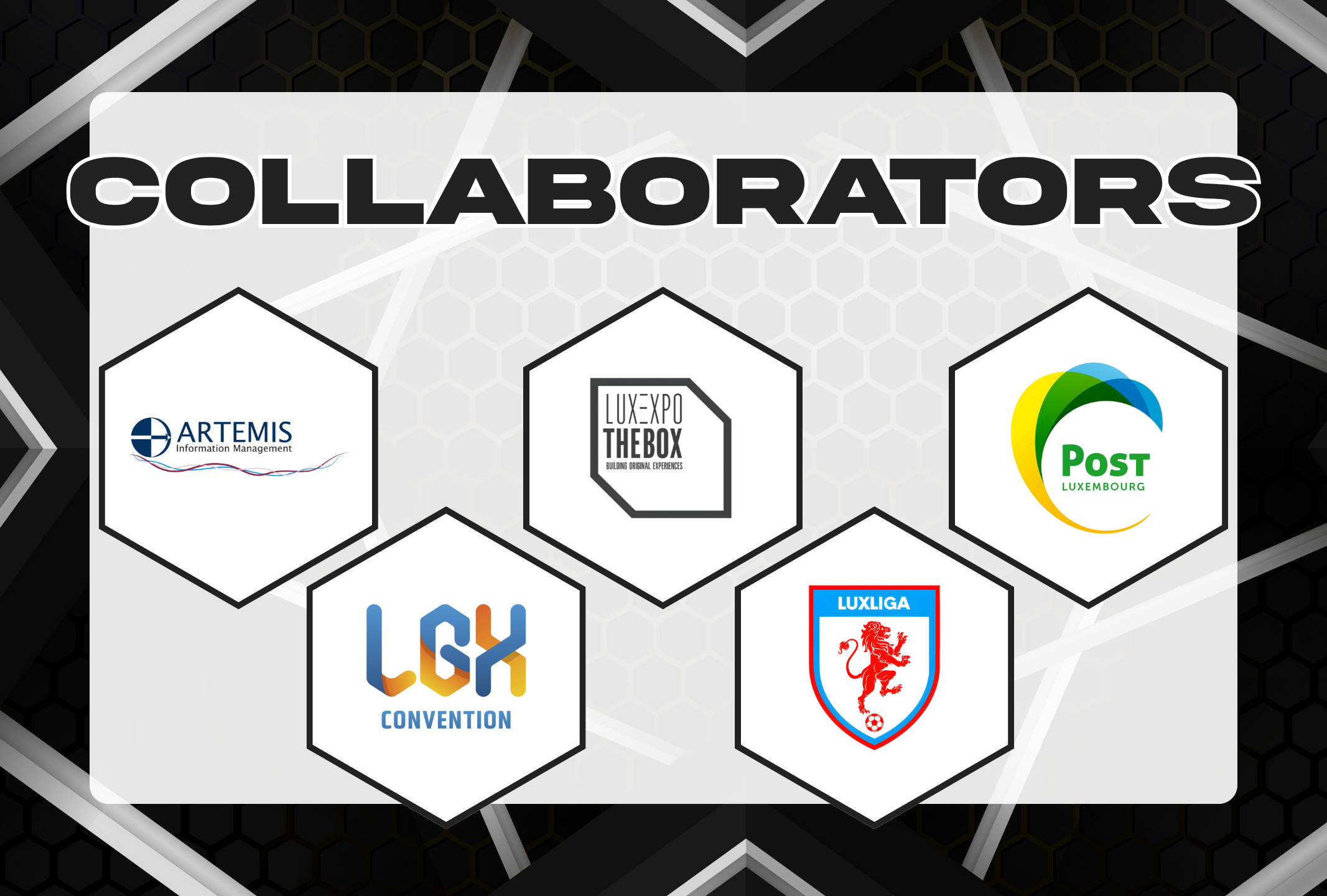 Collaborator picture 2