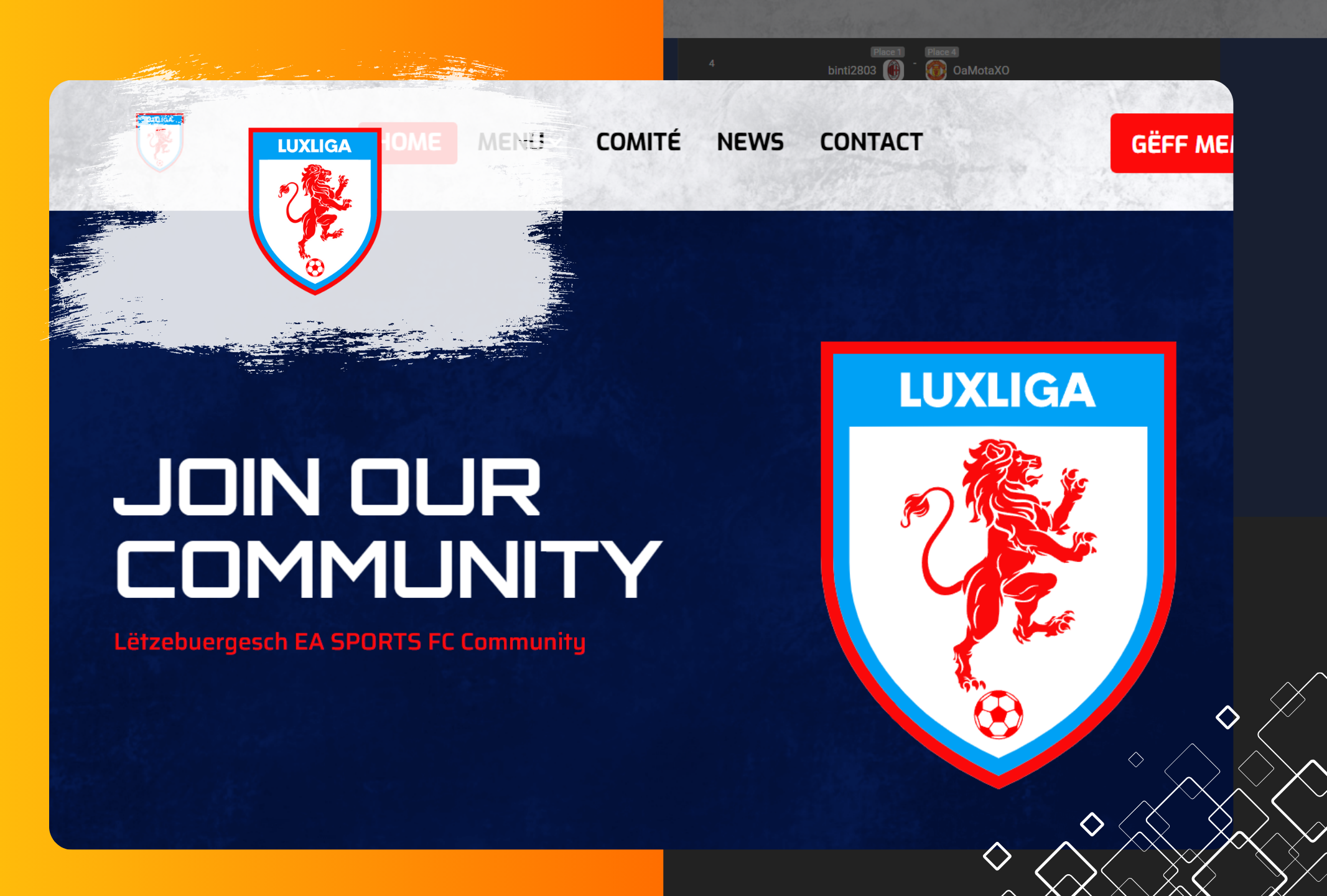 Luxliga Project photo