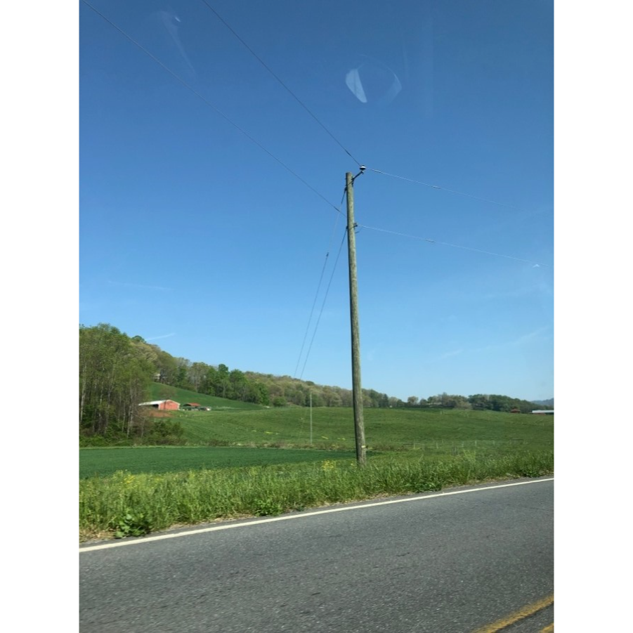 A picture containing sky, grass, outdoor, greenDescription automatically generated