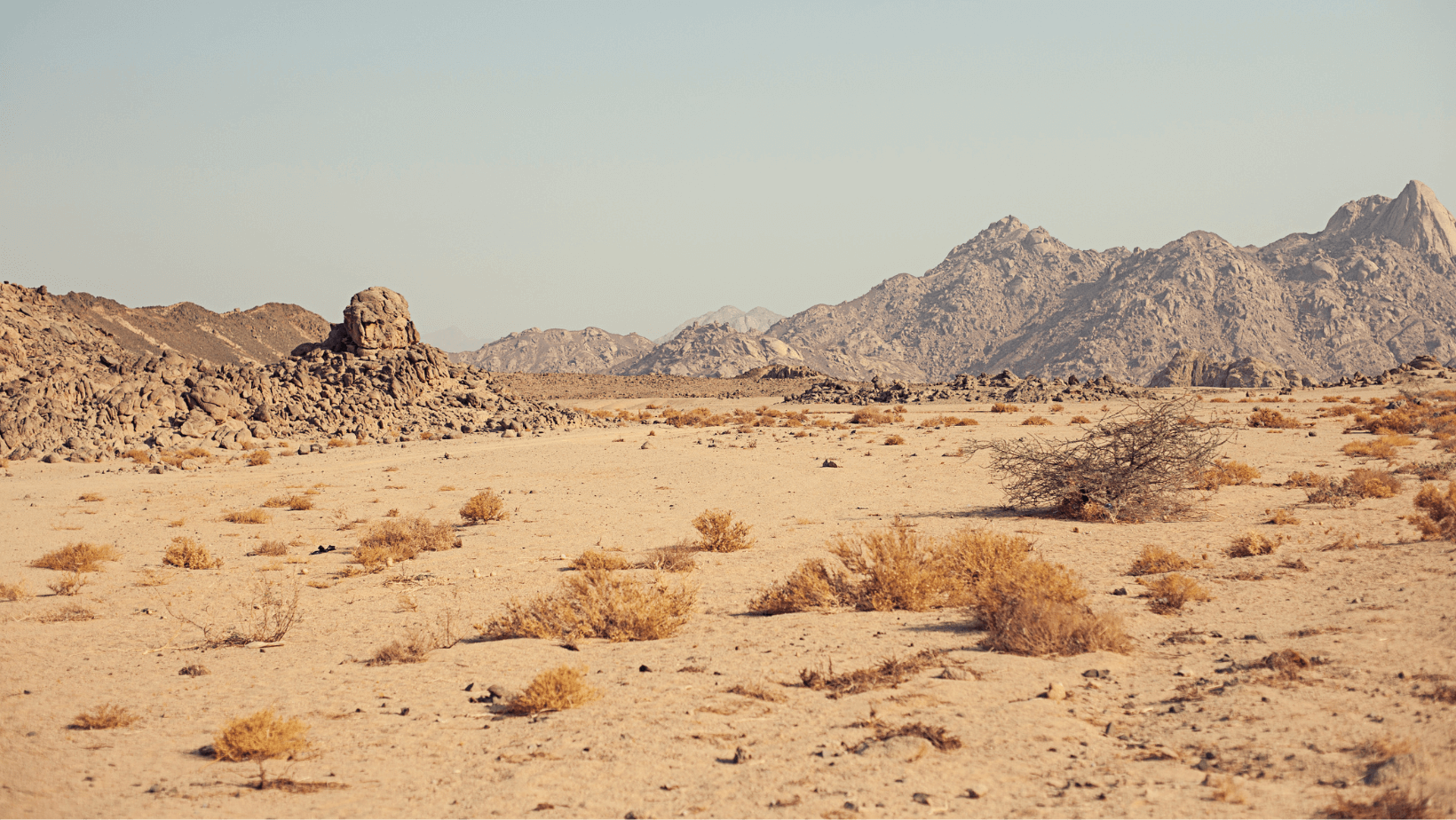 burning man event safety app