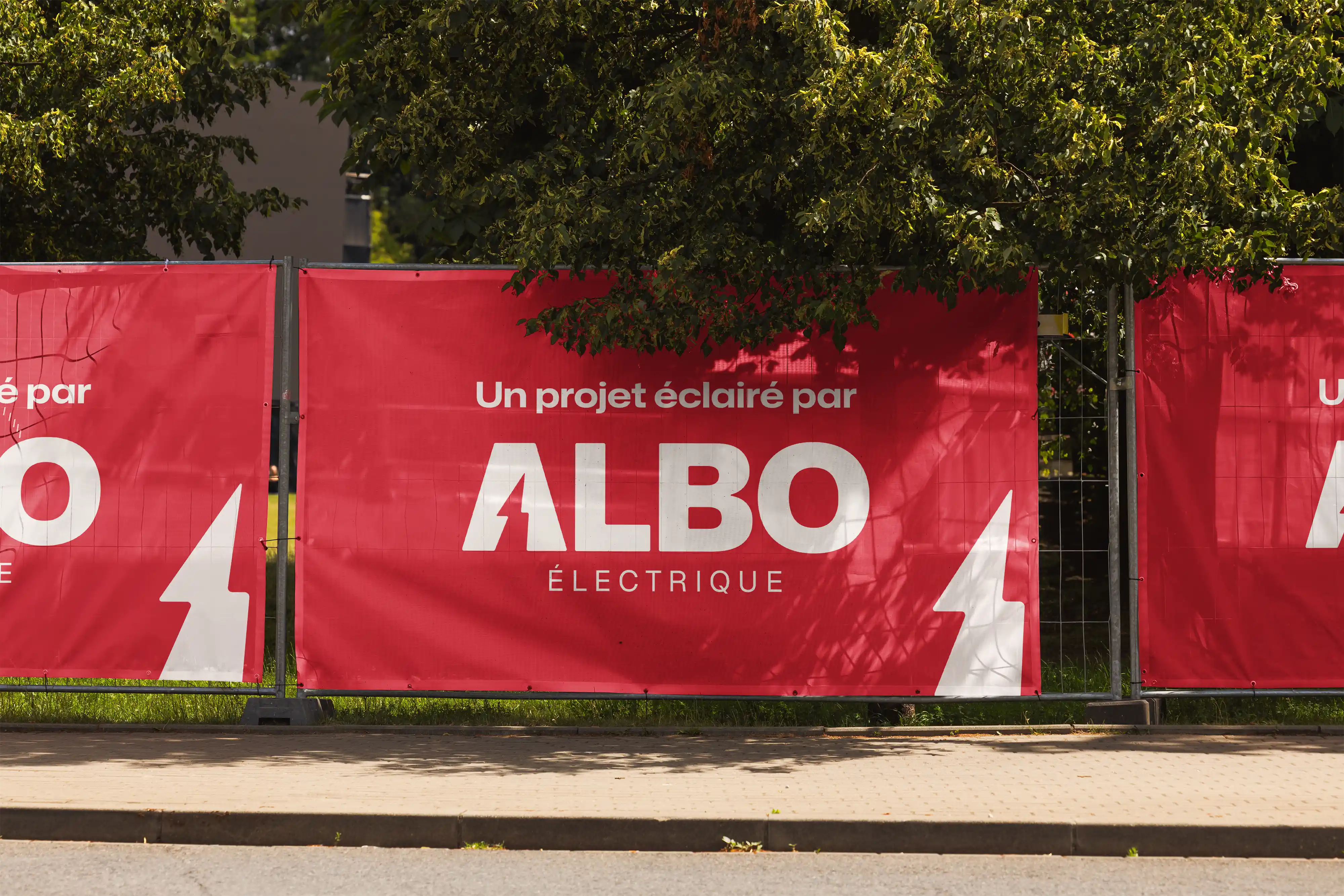 Albo