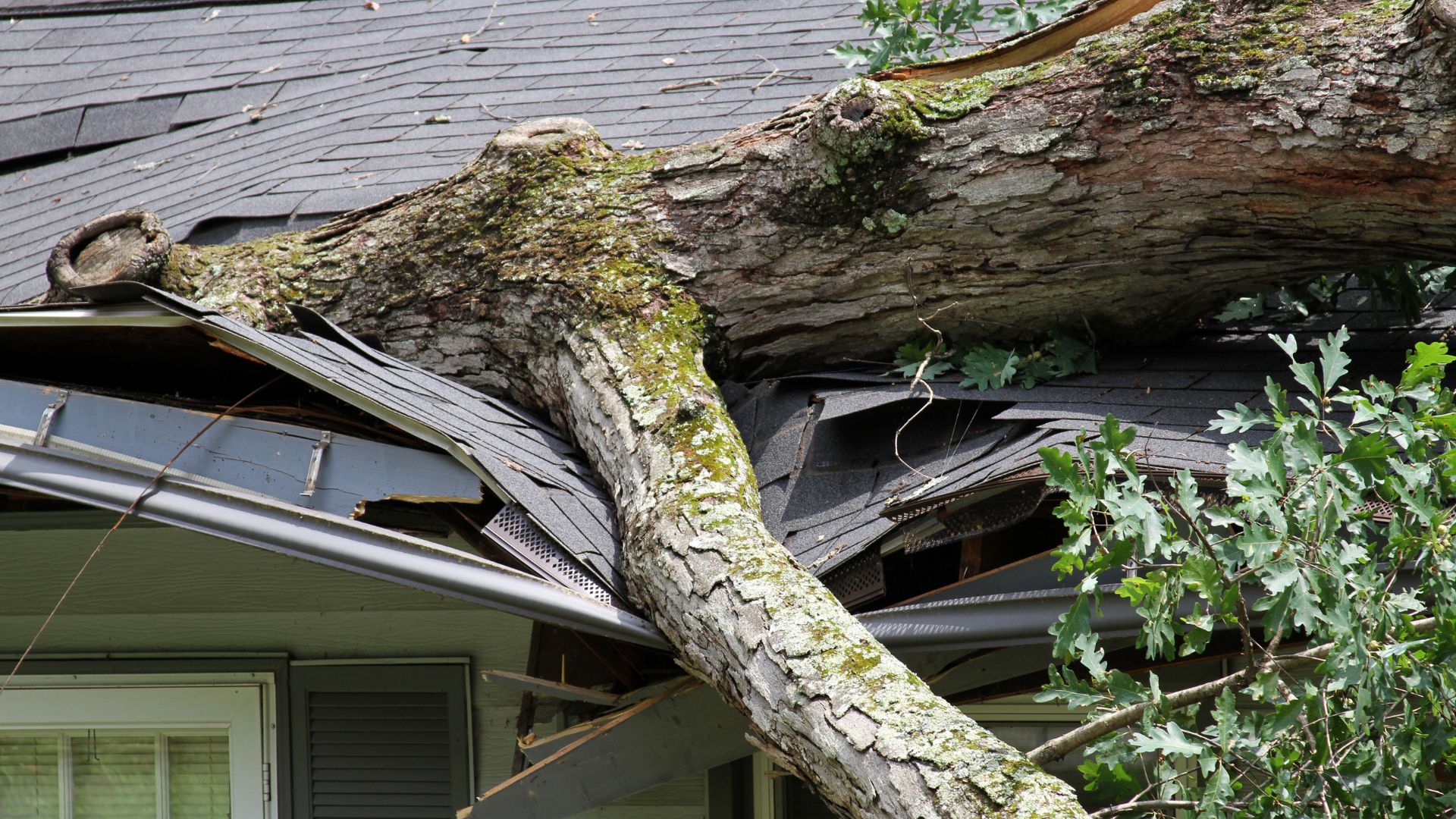 A severely damaged roof with missing shingles and exposed underlayment after a storm.
