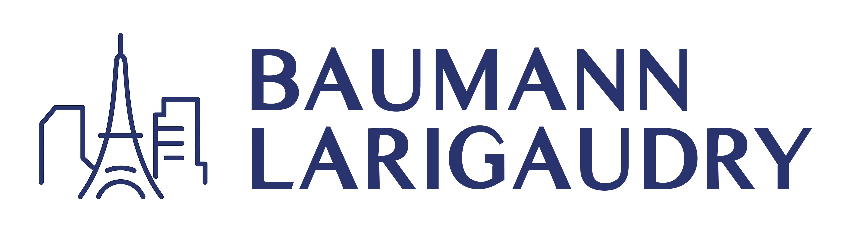 Baumann - Larigaudry