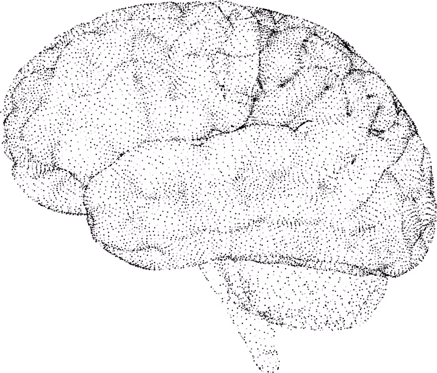 Ilustração gráfica de um cérebro com áreas assinaladas, representando informação neurofuncional.