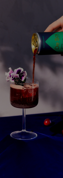 Paid Marketing Media