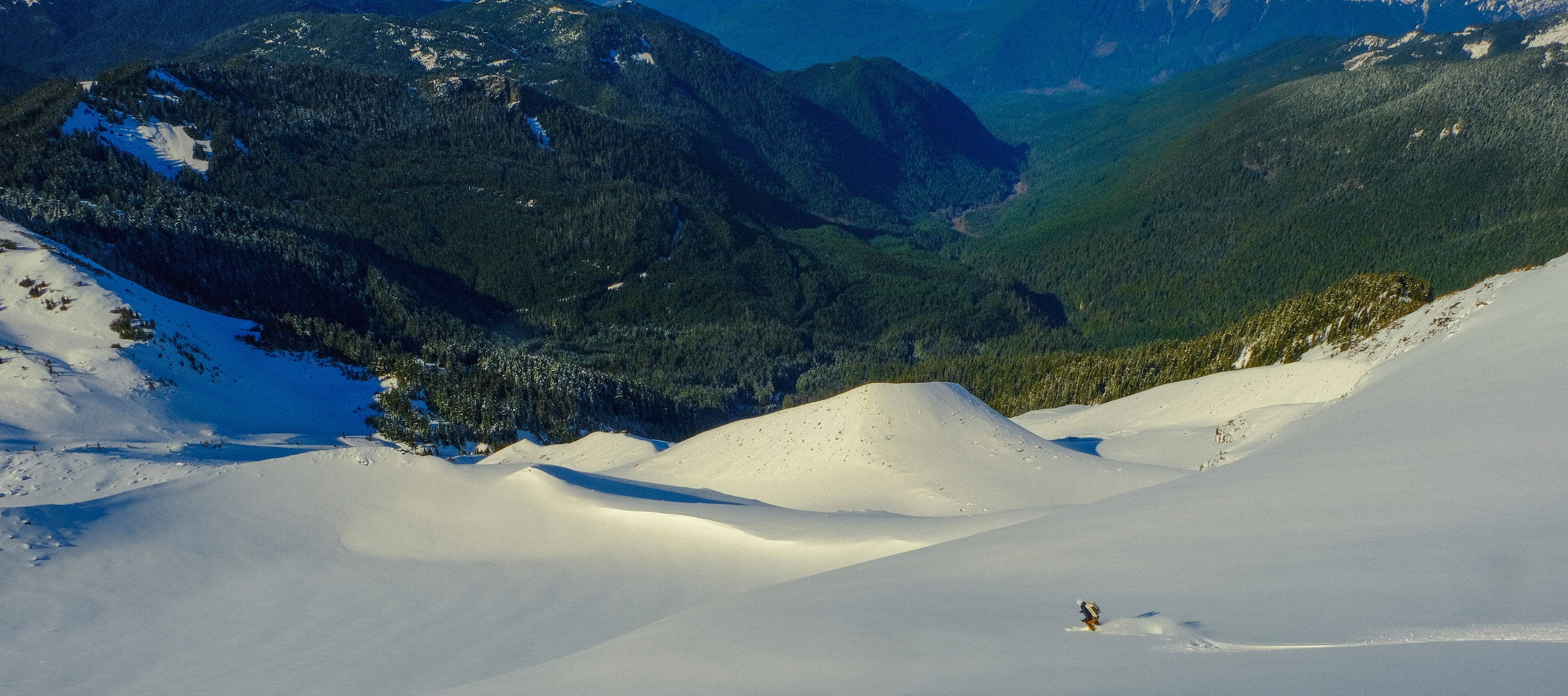 Heliotrope Ridge Experience