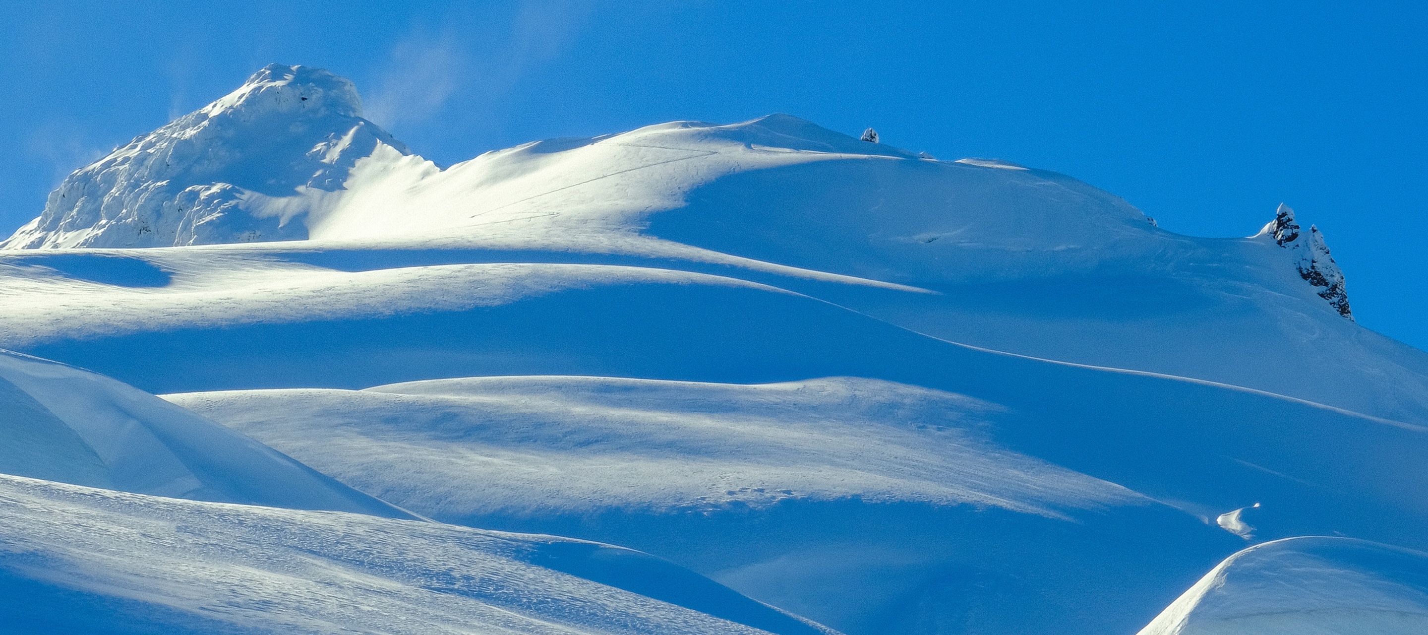 Heliotrope Ridge Experience