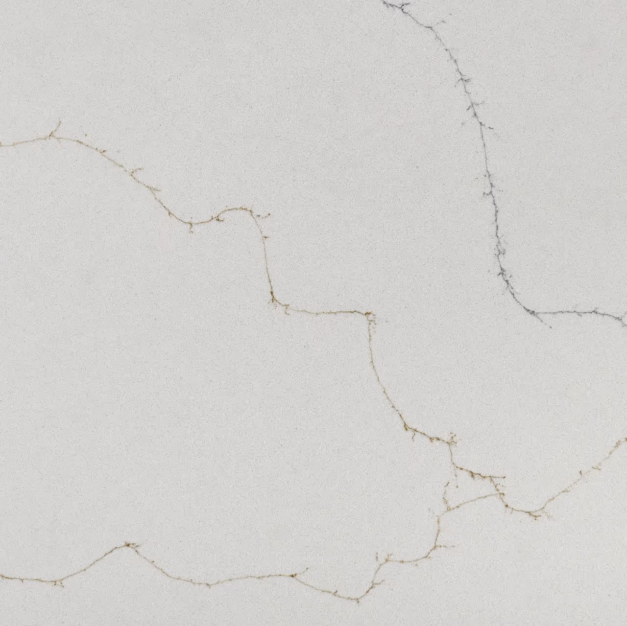 Calacatta Duolina Quartz Countertop