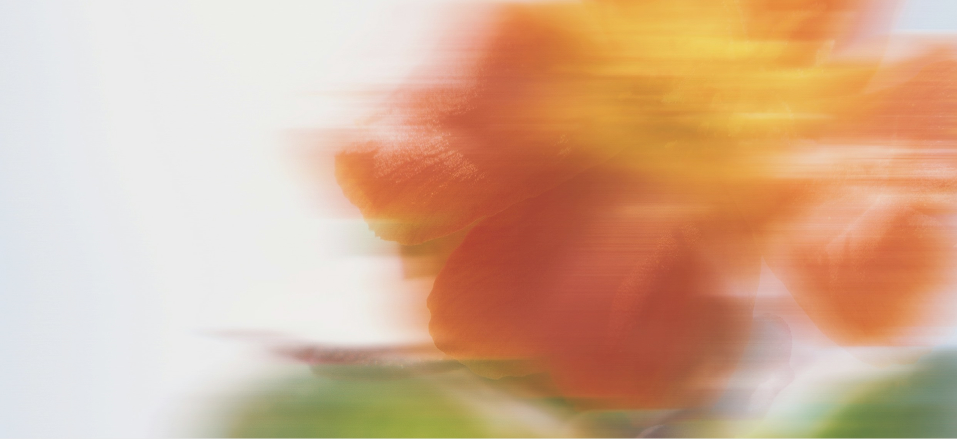 Flor naranja difusa con efecto de movimiento hacia la derecha sobre un fondo blanco claro con toques verdes y rojos en la parte inferior.