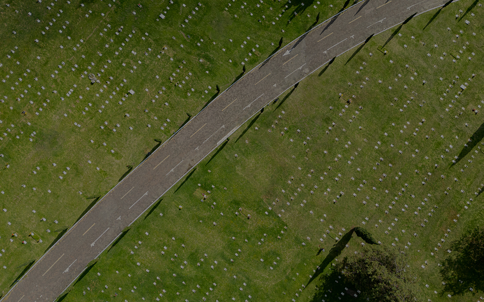 Vista aérea de un cementerio con muchas lápidas organizadas en hileras sobre césped verde, cruzado por un camino pavimentado con flechas blancas pintadas para dirección.