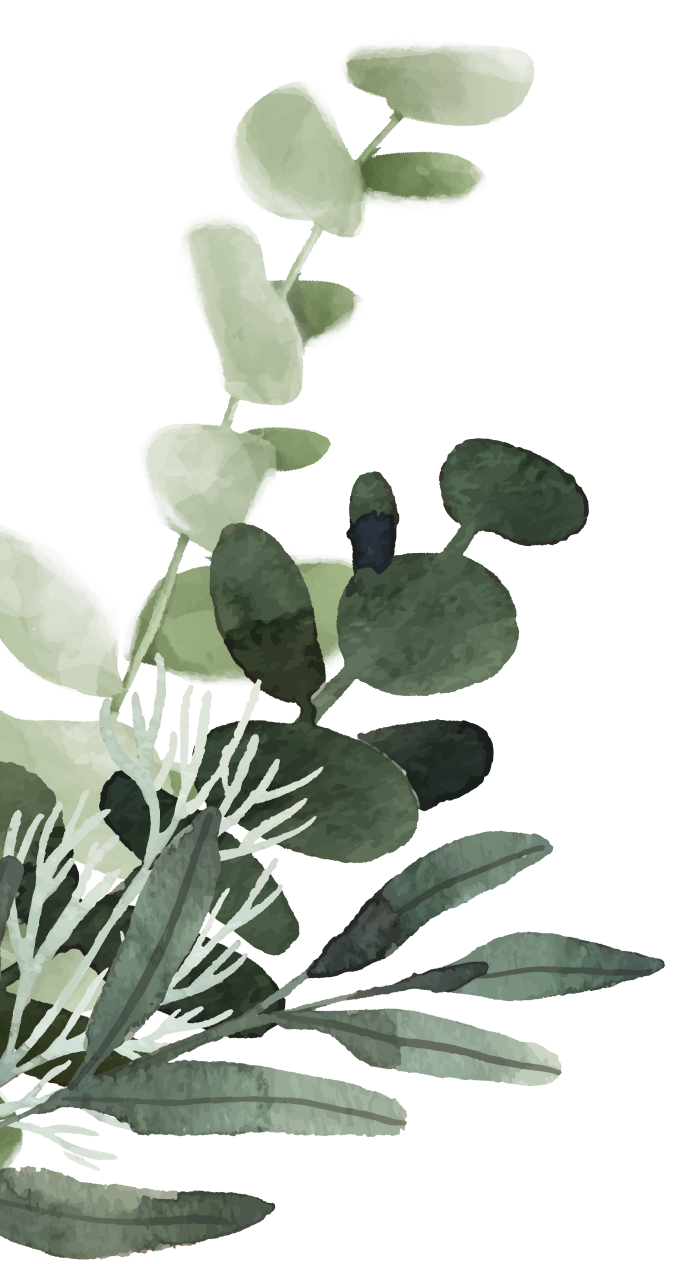 Digital illustration of a pink flower with a green stem, viewed from below.
