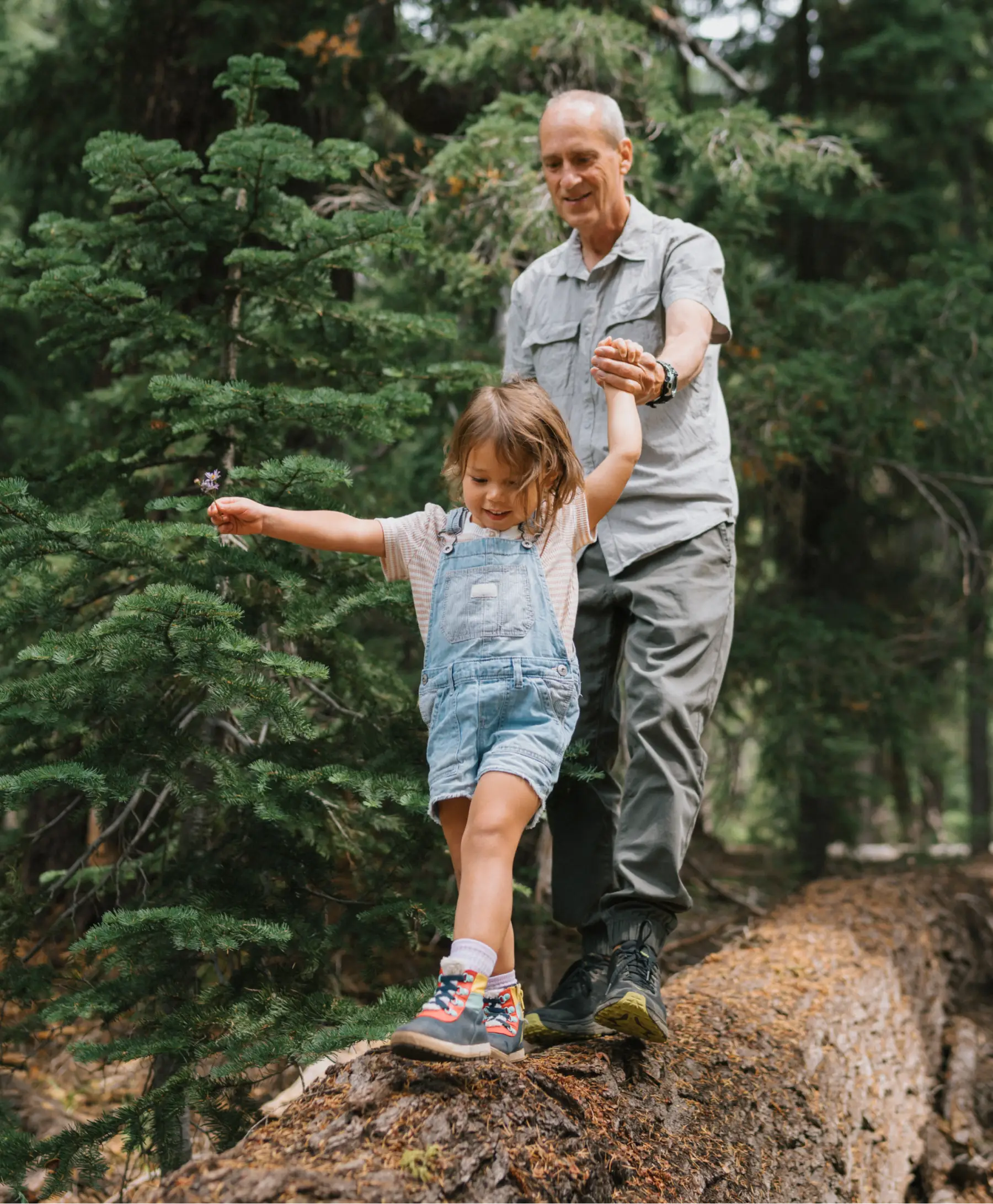 Grandfather holding his granddaughter’s hand as they balance on a fallen tree in the forest.