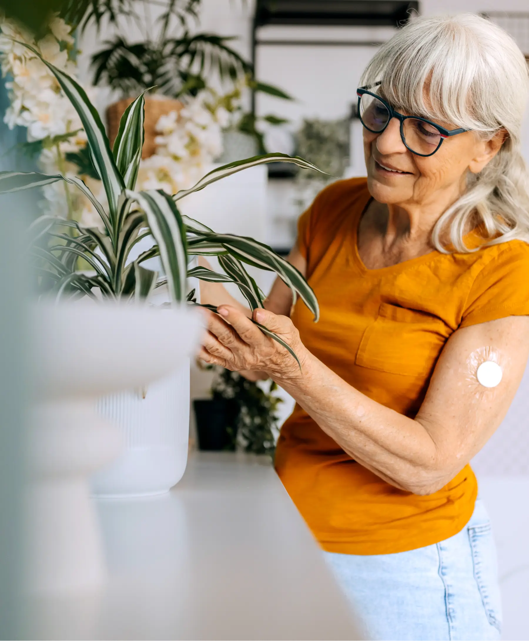 Older woman caring for a houseplant at home.
