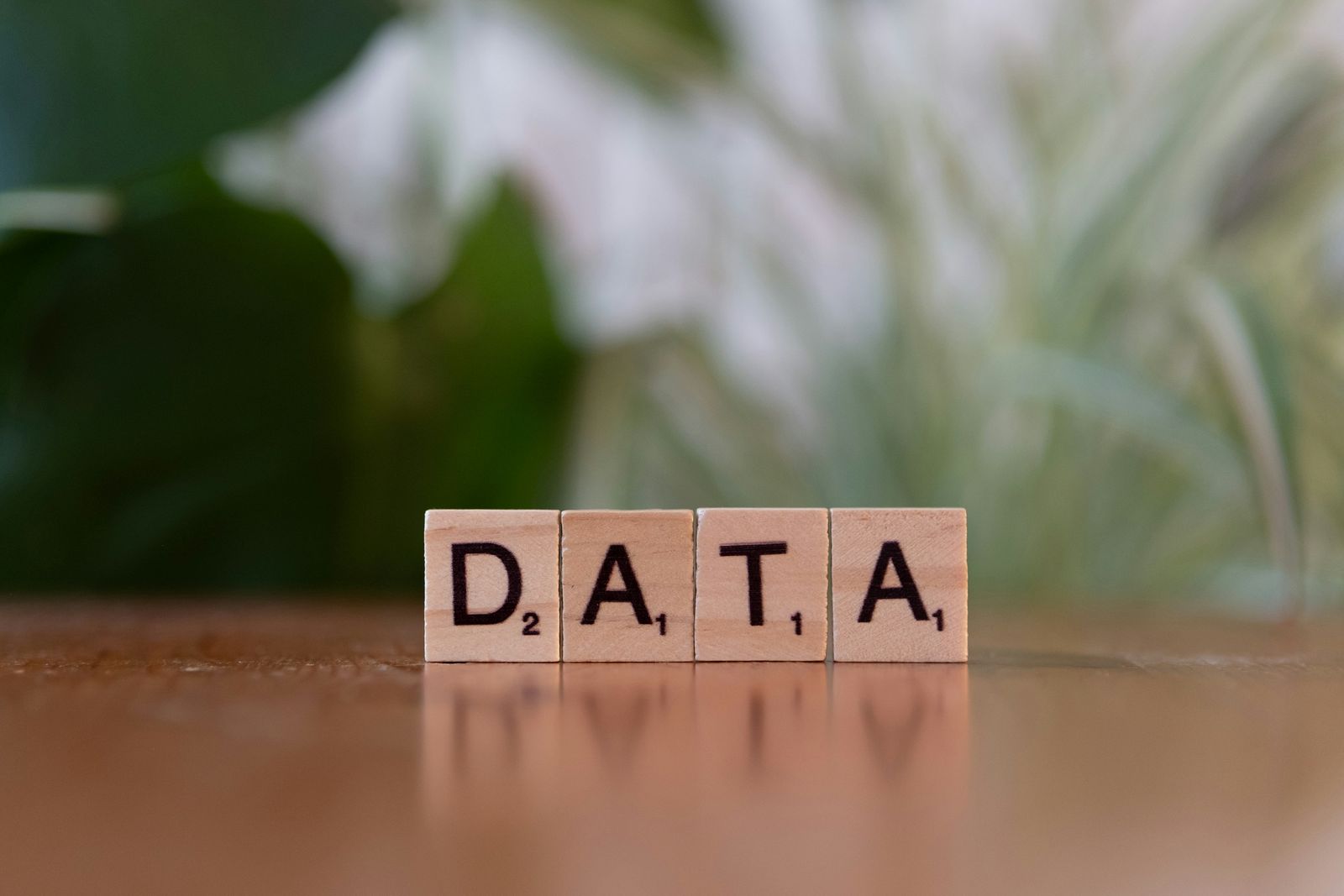 Bild mit dem Wort Data