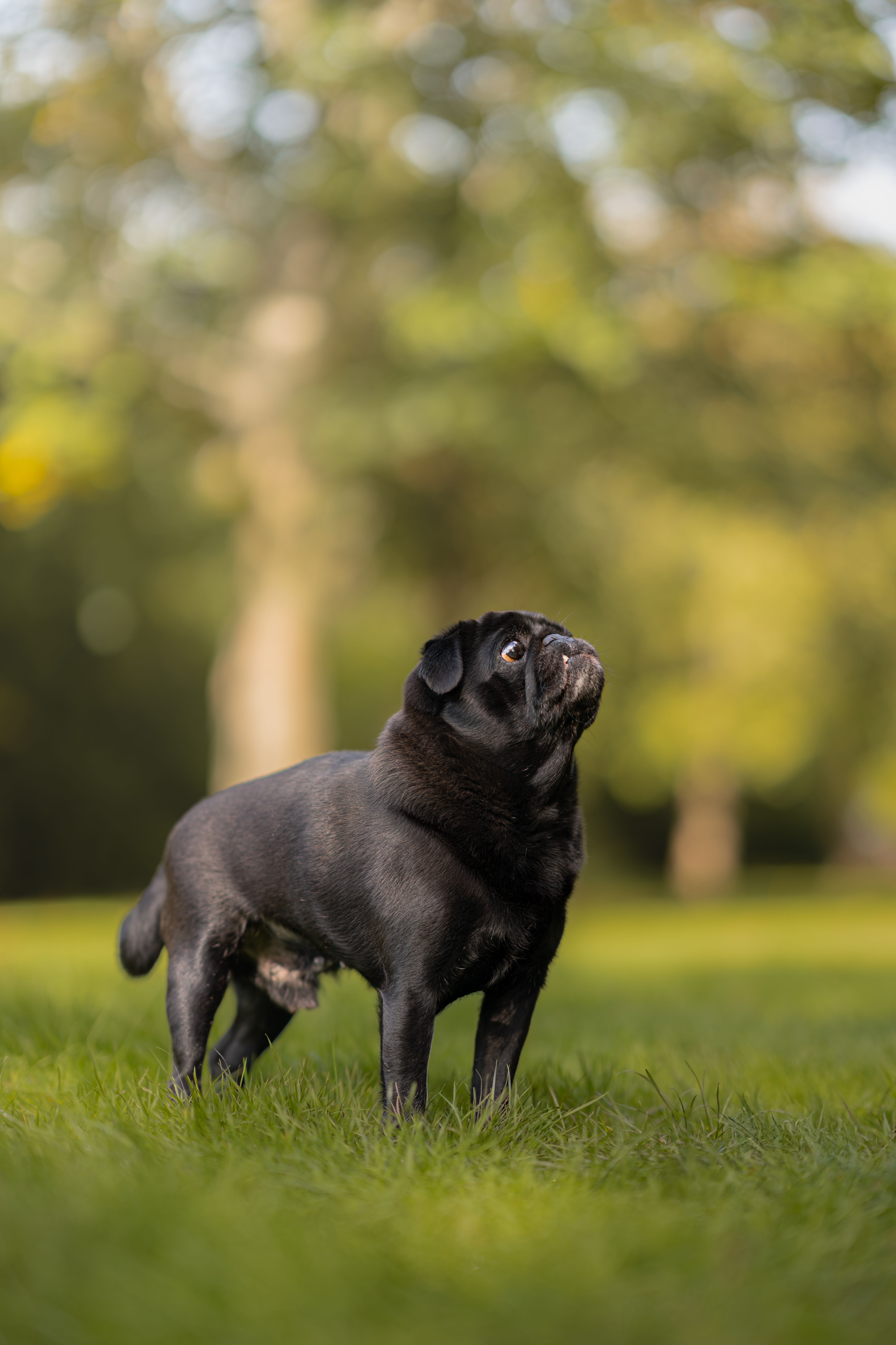 image of location for an animal welfare nonprofit