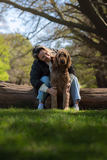 Woman sitting on a fallen tree in a park hugging a large curly-haired dog under tall trees.