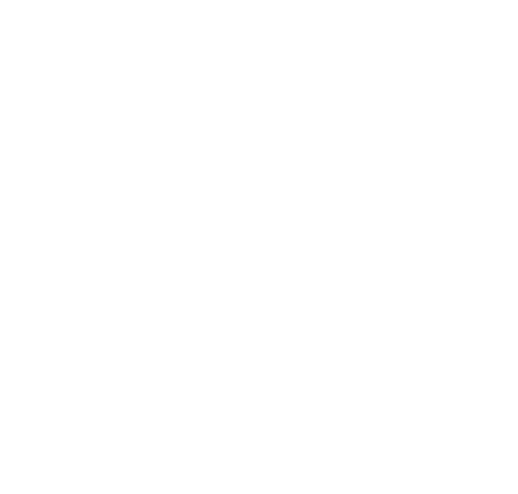 Tuga Pastries