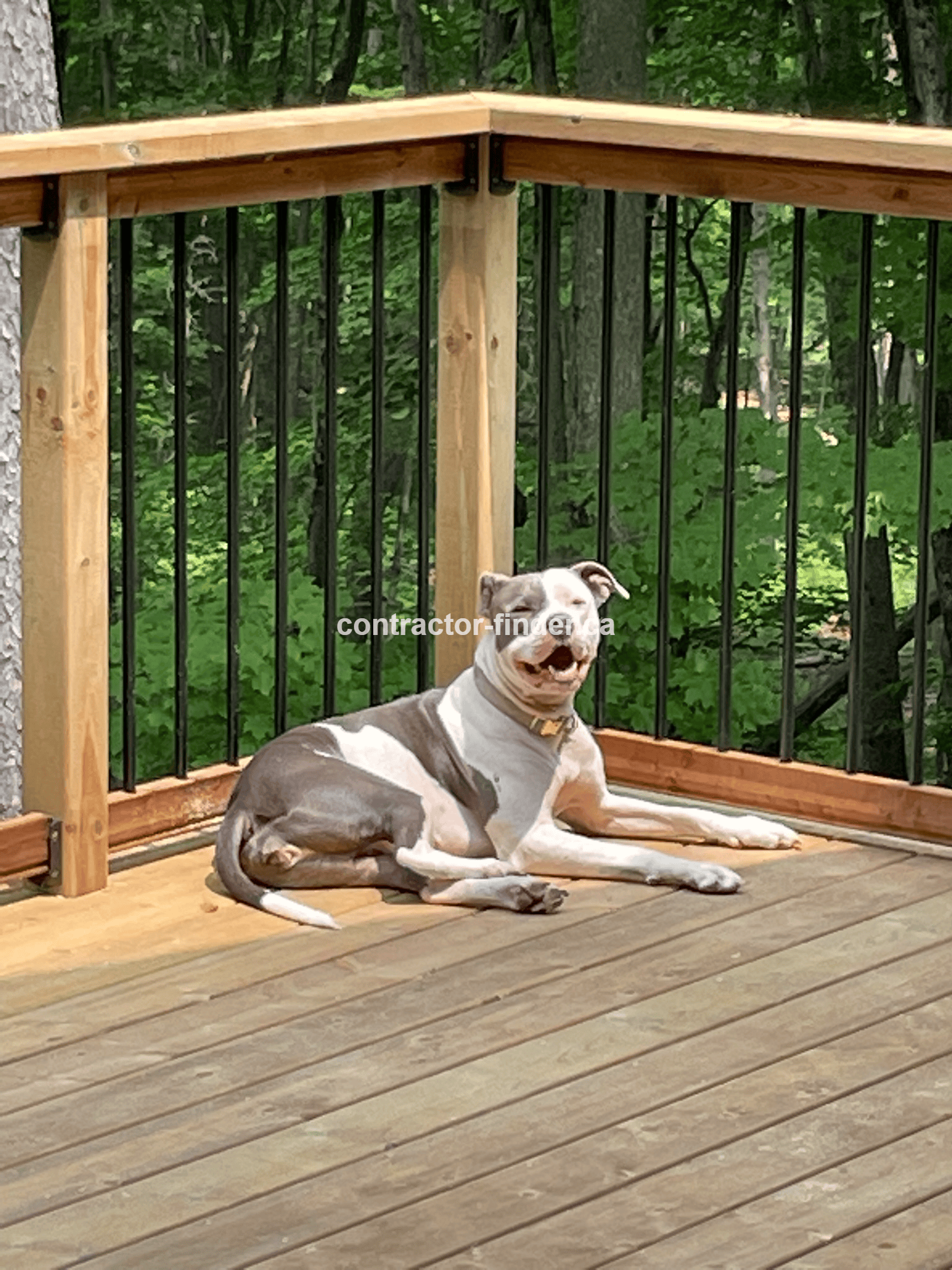 Professional wood deck construction in Collingwood with premium materials and expert craftsmanship