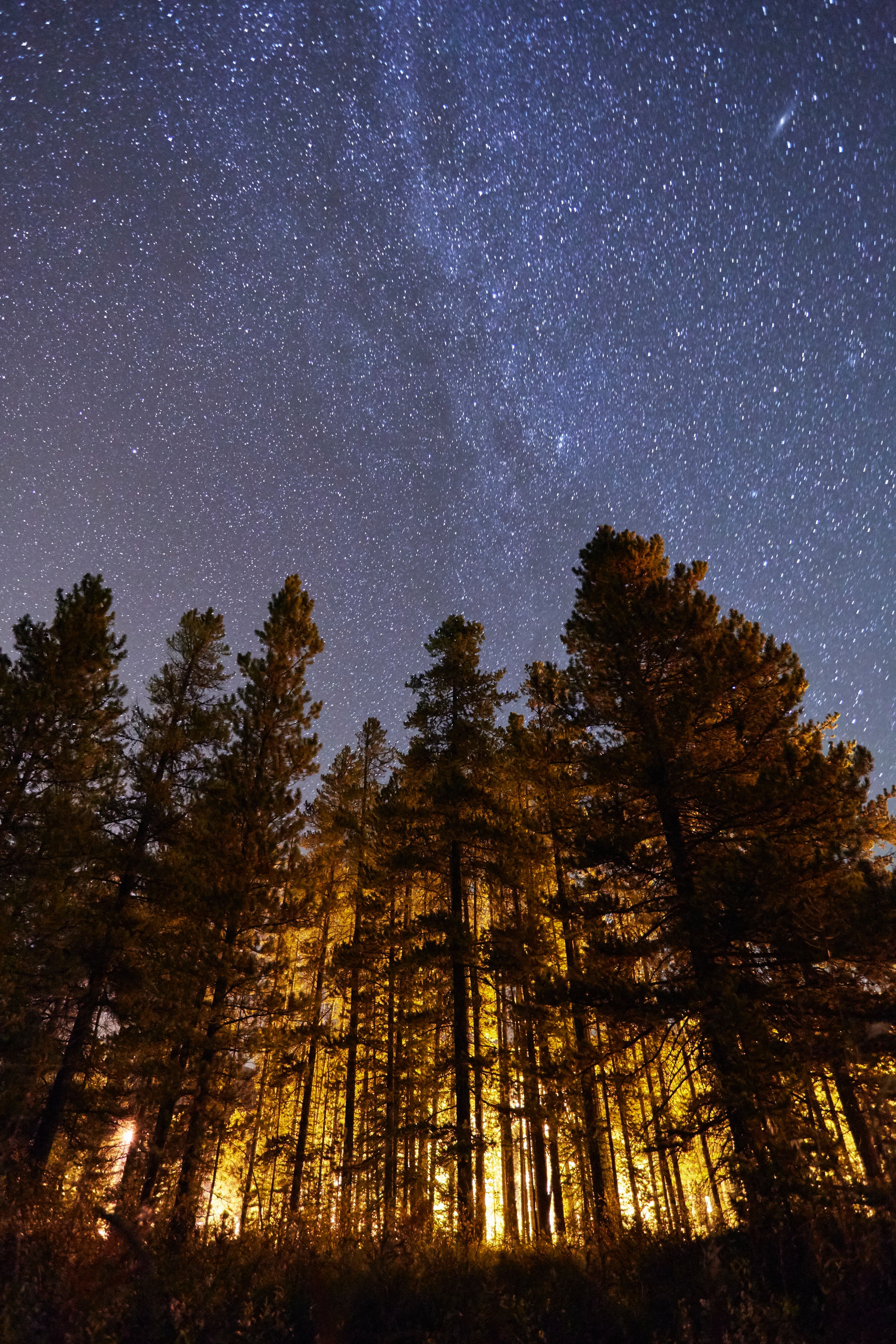 Flagstaff night sky