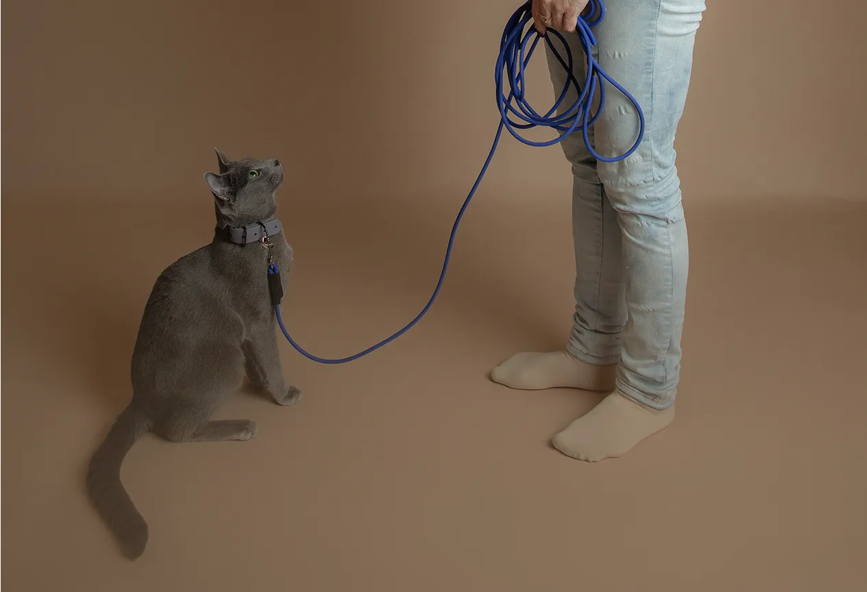 Gray cat sitting on beige floor, wearing a collar and leash held by a person in light jeans and beige socks.