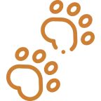 Two bronze-colored paw prints with four toes each on a transparent background.