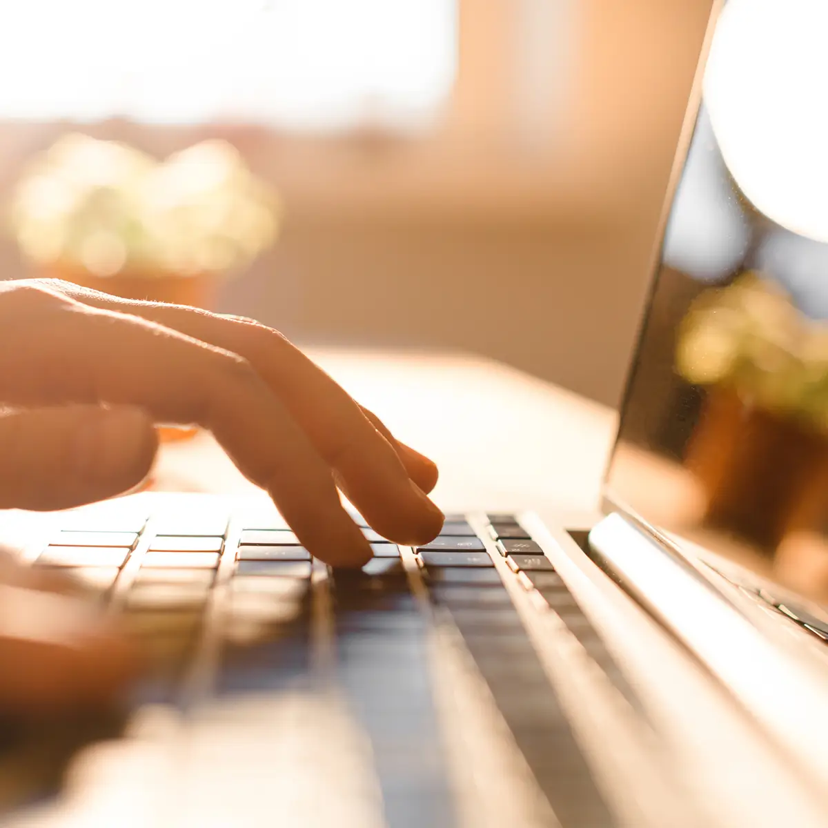 Close-up of hands typing on a laptop keyboard in warm natural light.