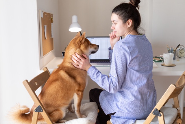 Priced Out? A First Home Buyer's Guide to Affordable Hotspots Near the Gold Coast