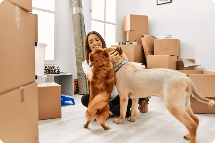 Servizi Wetacoo di deposito per trasloco