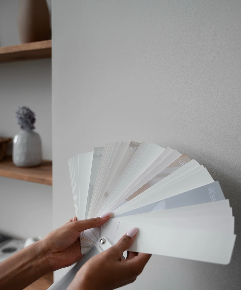 color palette