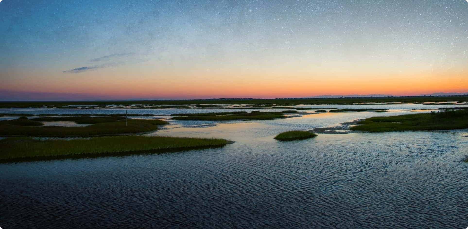 Calm water and grassy shoreline at Hilton Head Harbor RV Resort in Hilton Head Island