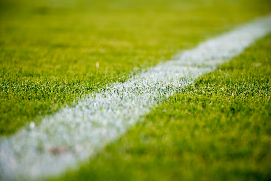 image of the line of a grass sports pitch