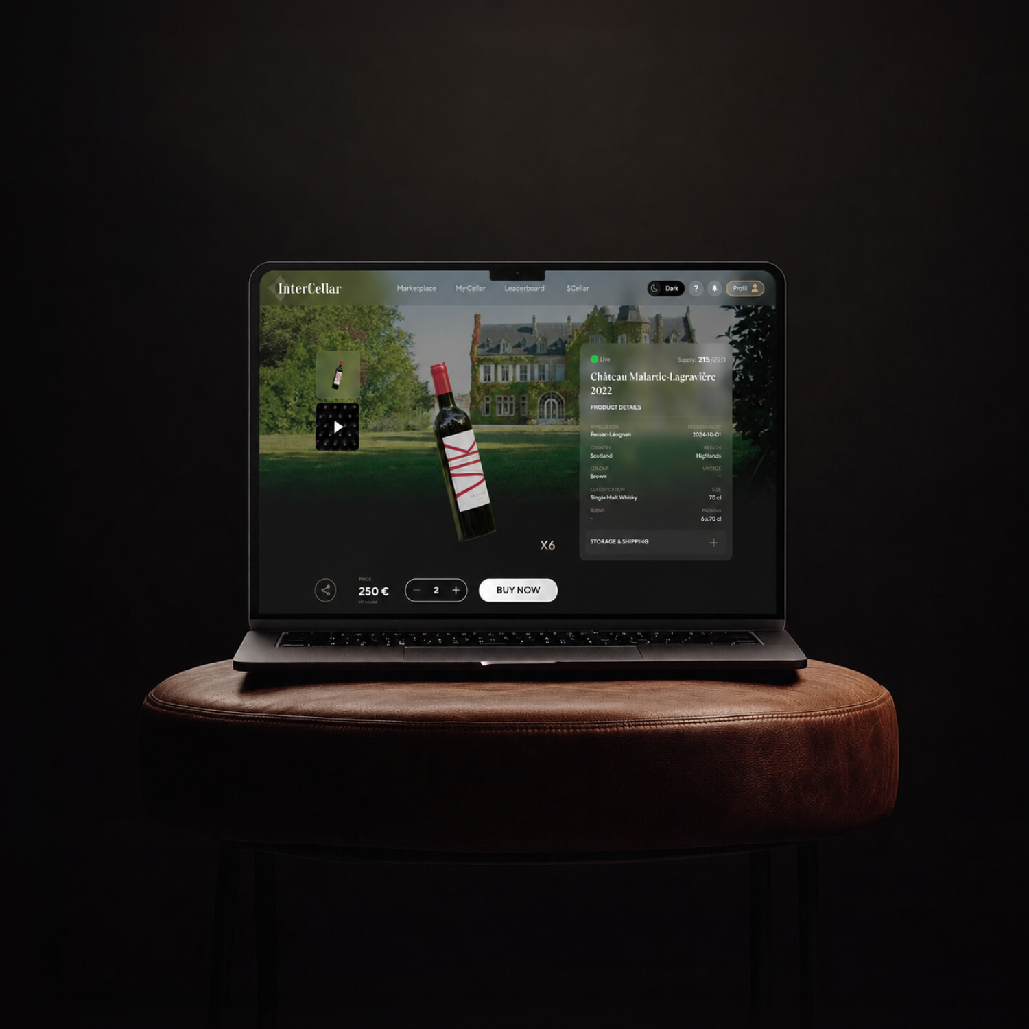 portfolio preview 8