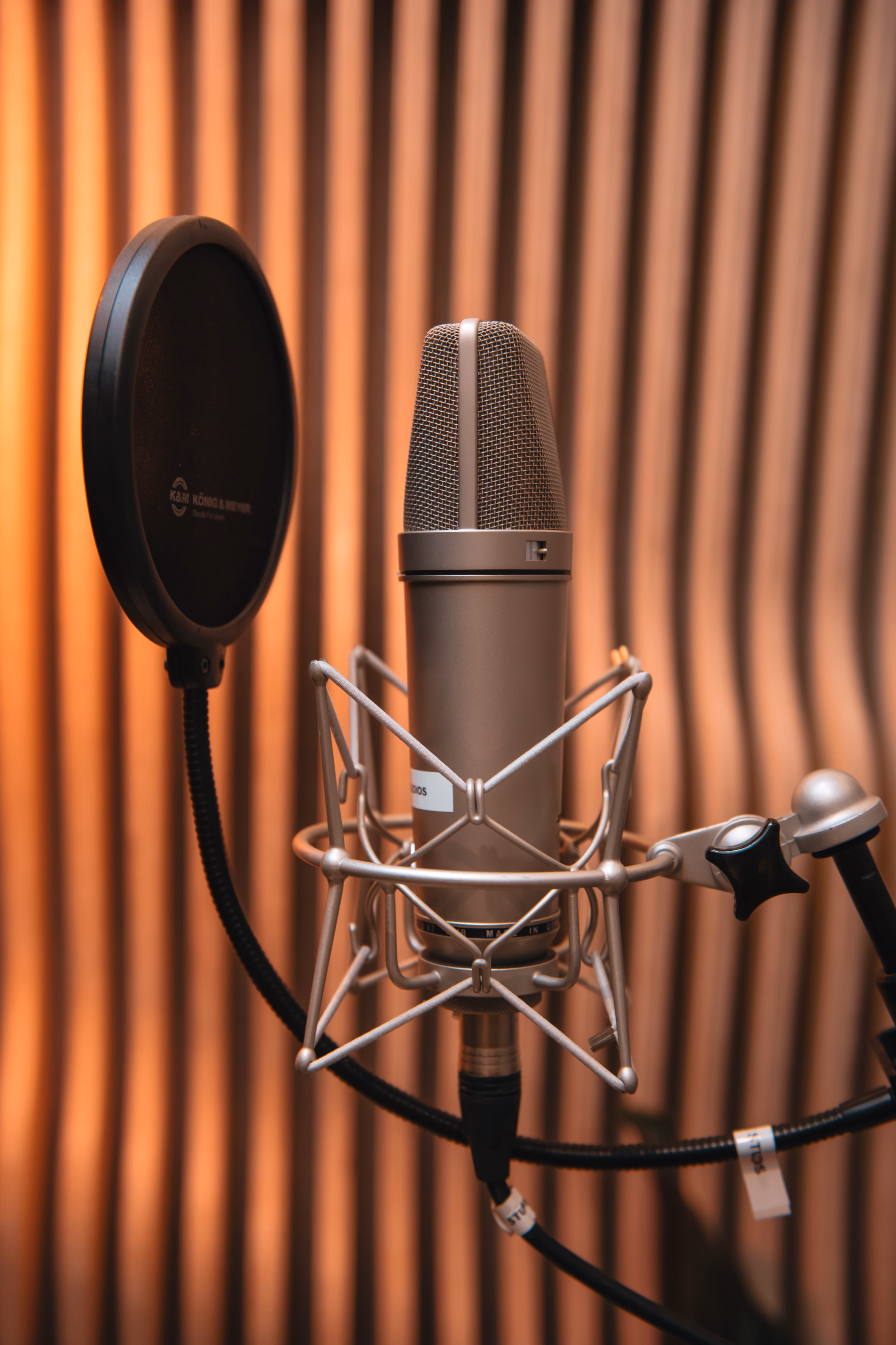 Voice actor reading from a phone in a soundproofed booth at Noatune Studios, recording for a voice AI dataset