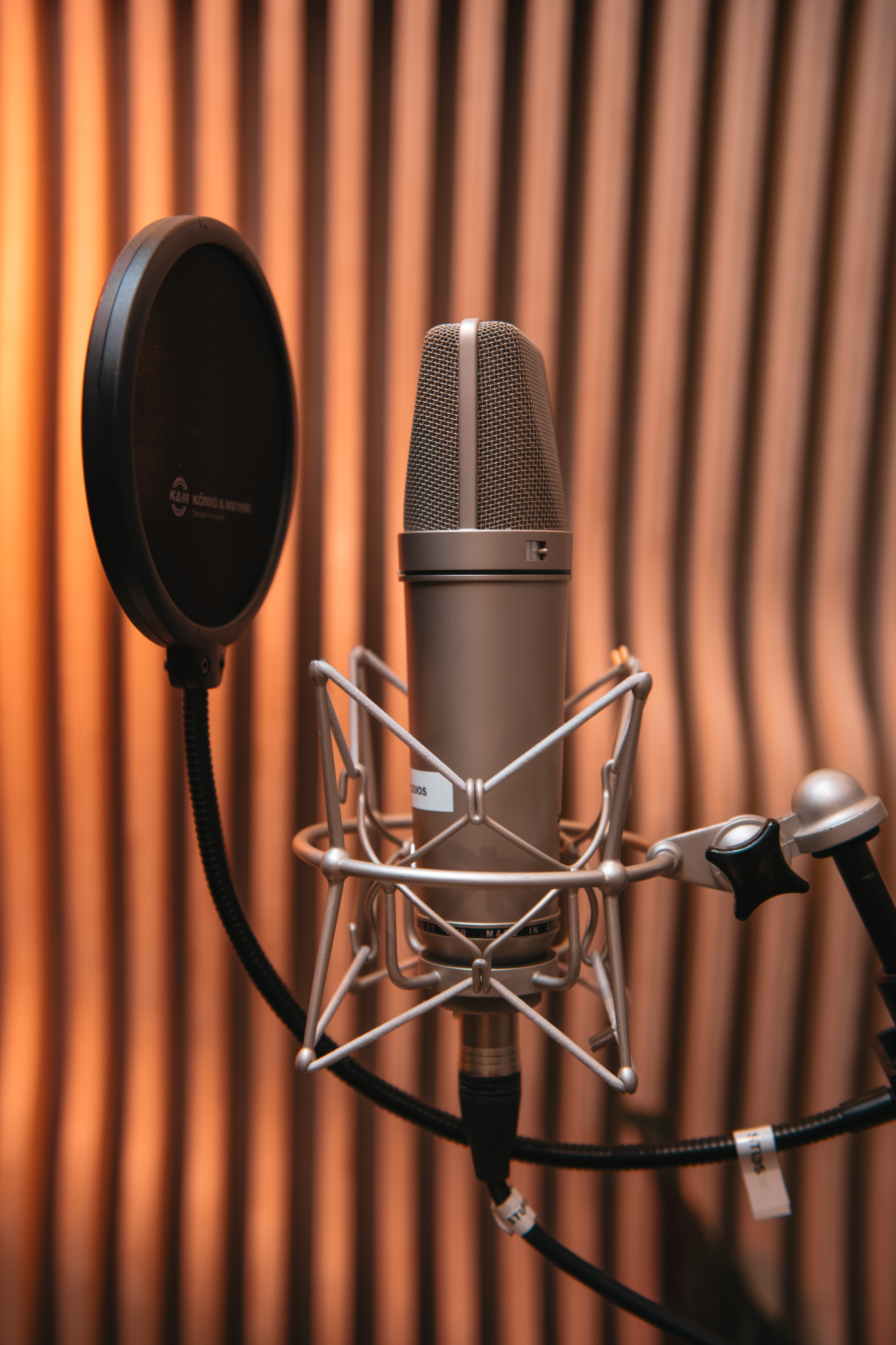 Voice actor reading from a phone in a soundproofed booth at Noatune Studios, recording for a voice AI dataset