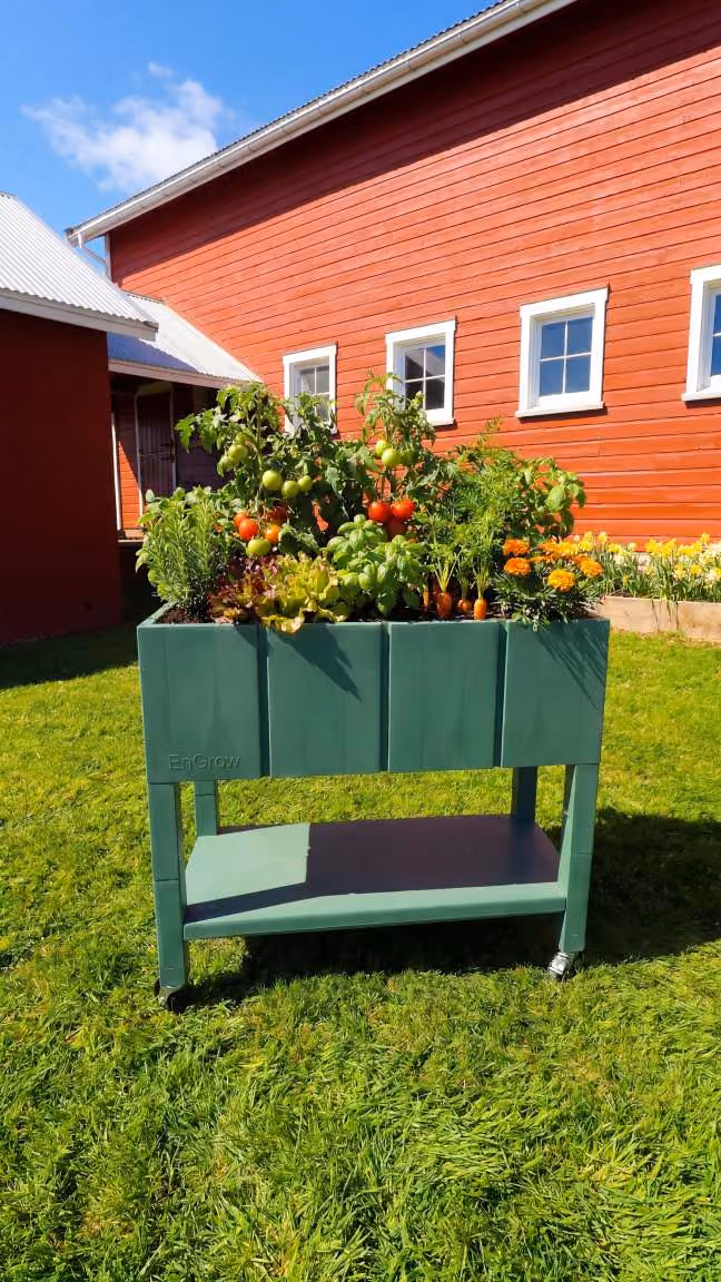 The Garden Bed green color on wheels with various plants including ripe and unripe tomatoes, herbs, carrots, lettuce, and marigold flowers, placed on green grass outside a red wooden barn with white-trimmed windows under a blue sky.