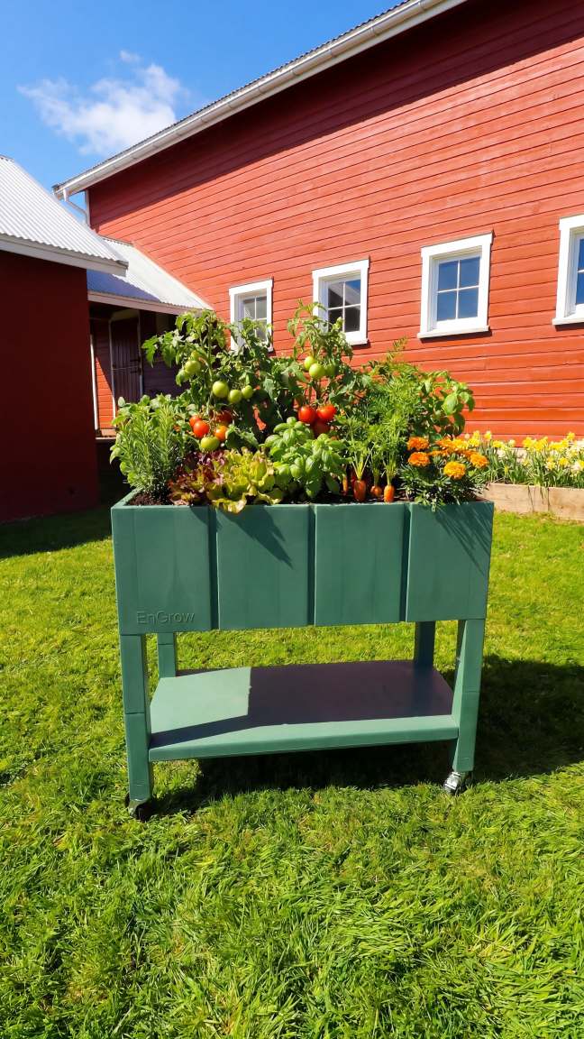 The Garden Bed green color on wheels with various plants including ripe and unripe tomatoes, herbs, carrots, lettuce, and marigold flowers, placed on green grass outside a red wooden barn with white-trimmed windows under a blue sky.
