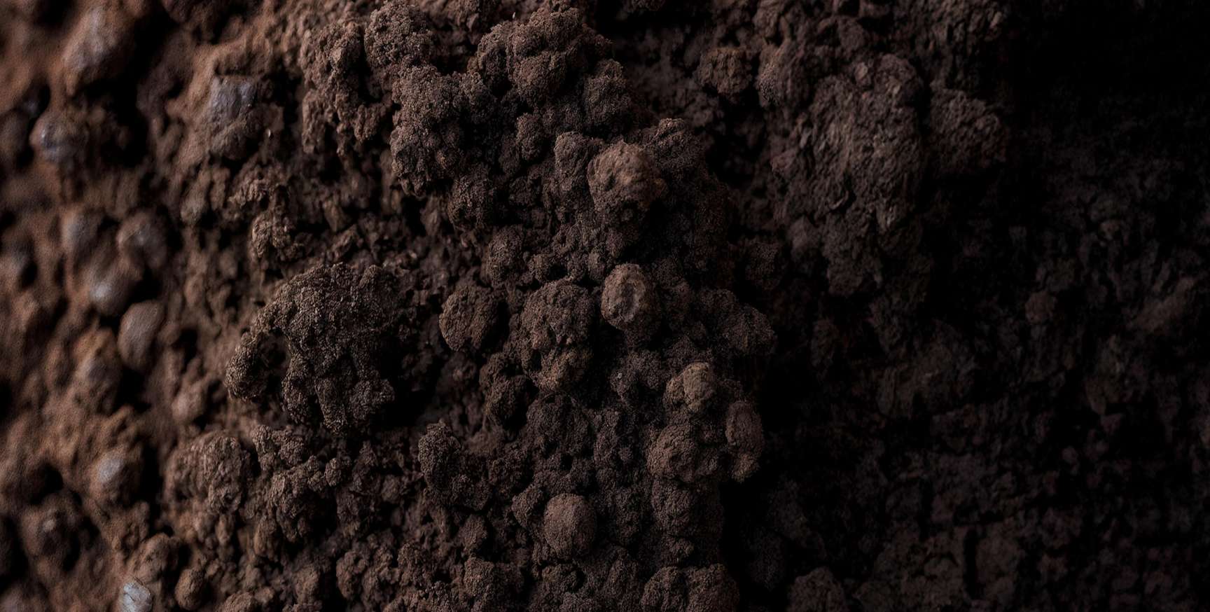 Close-up view of dark, rich soil with a crumbly texture.