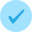 check-icon