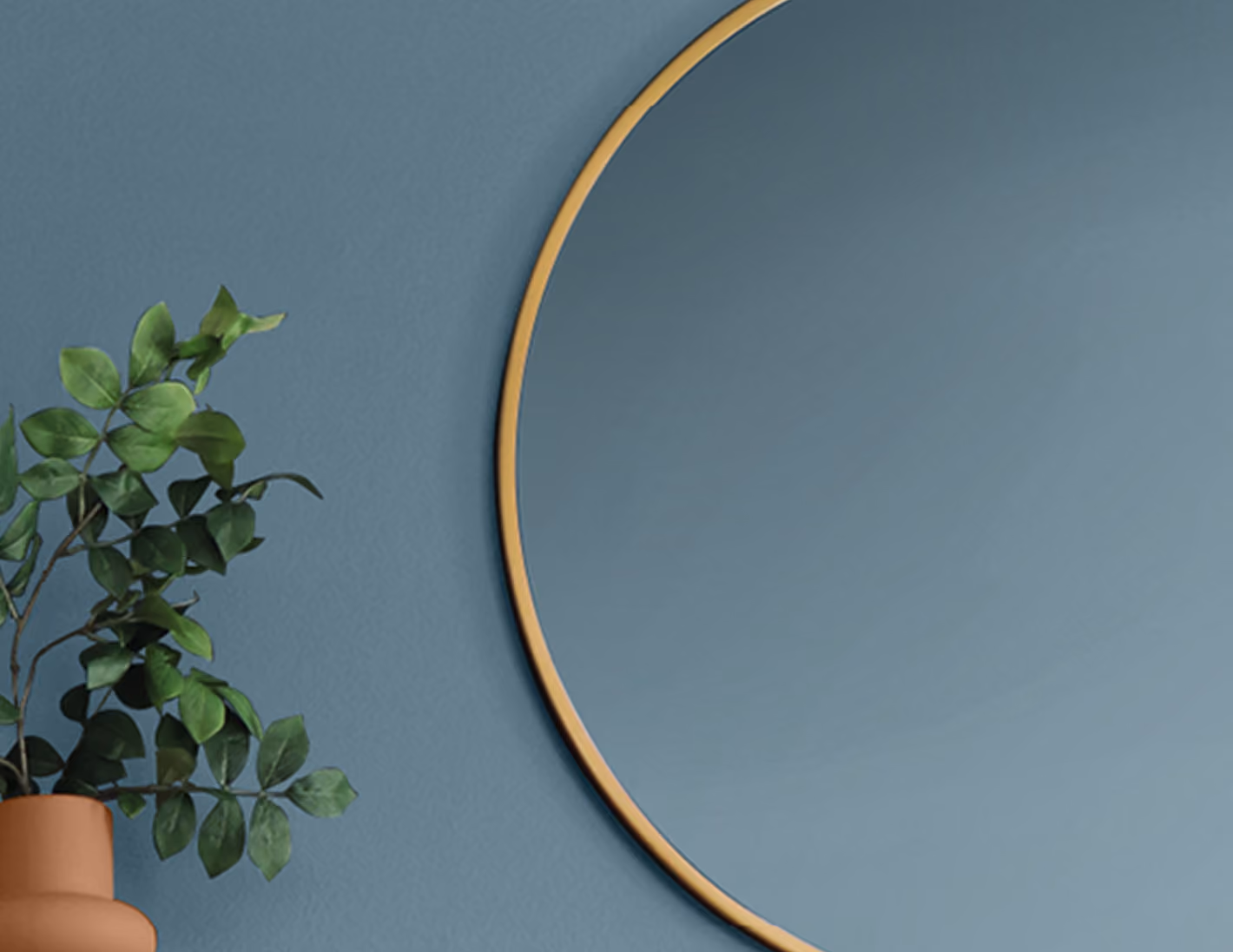 Blue painted wall with a large round mirror and a green plant in a pot