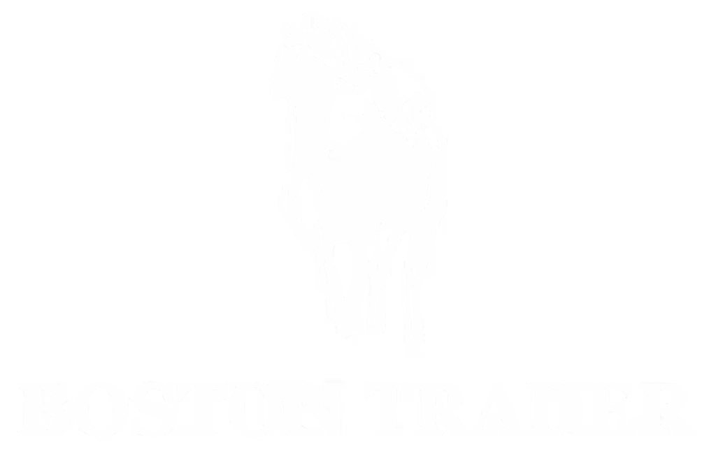 boston trader logo