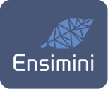 the ensimini logo with a blue background