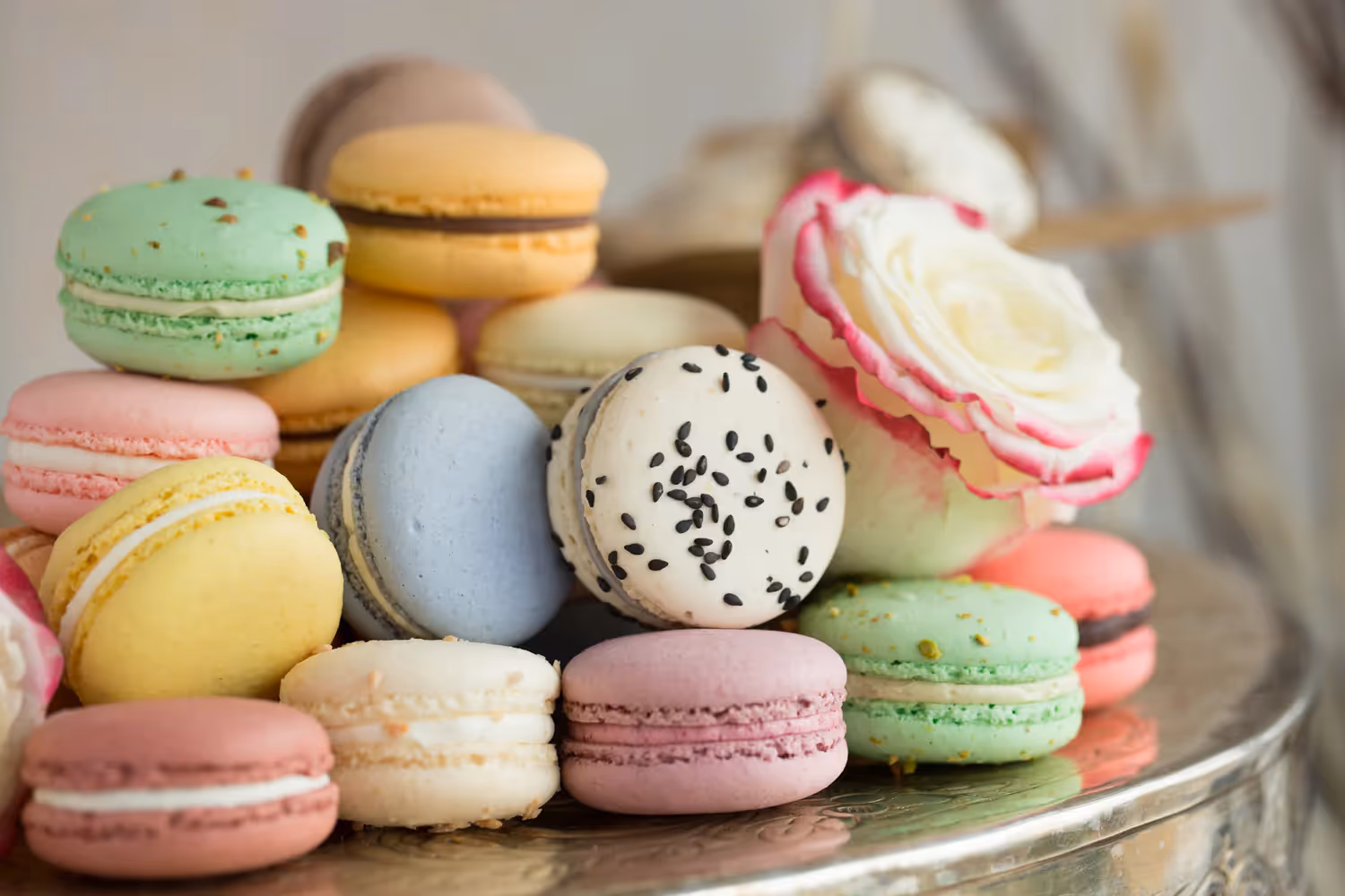 Maison Macaron