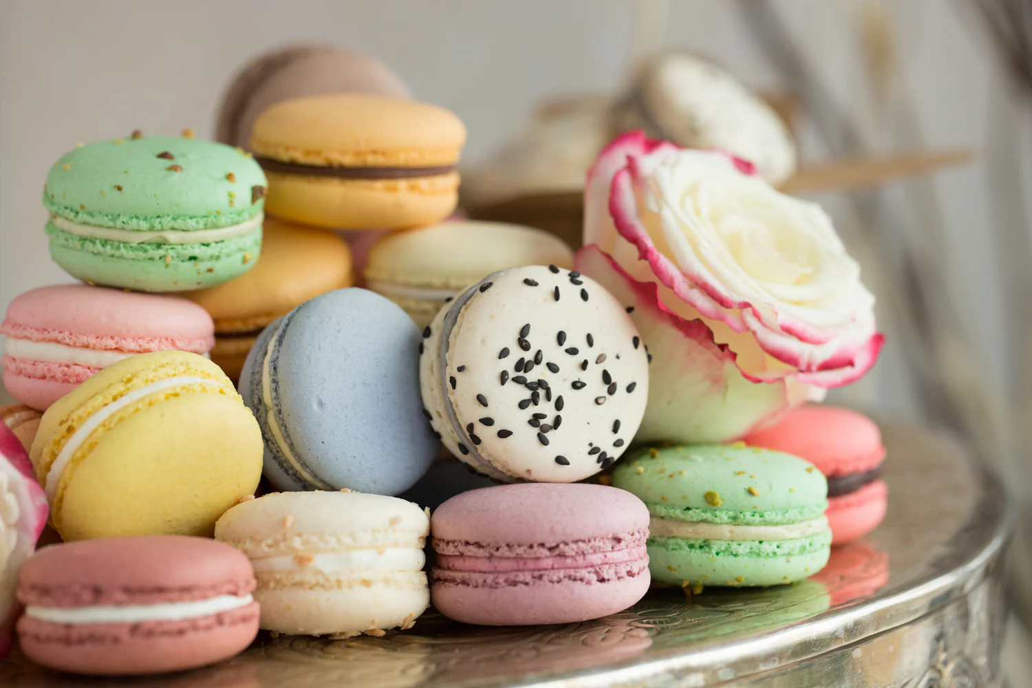 Maison Macaron
