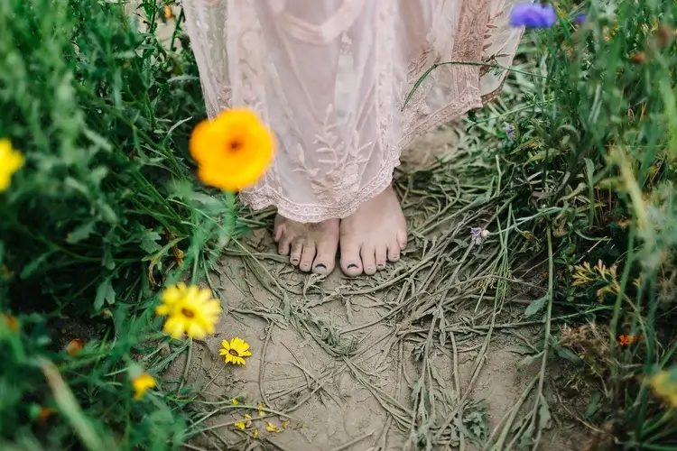 The Creative Counsellor