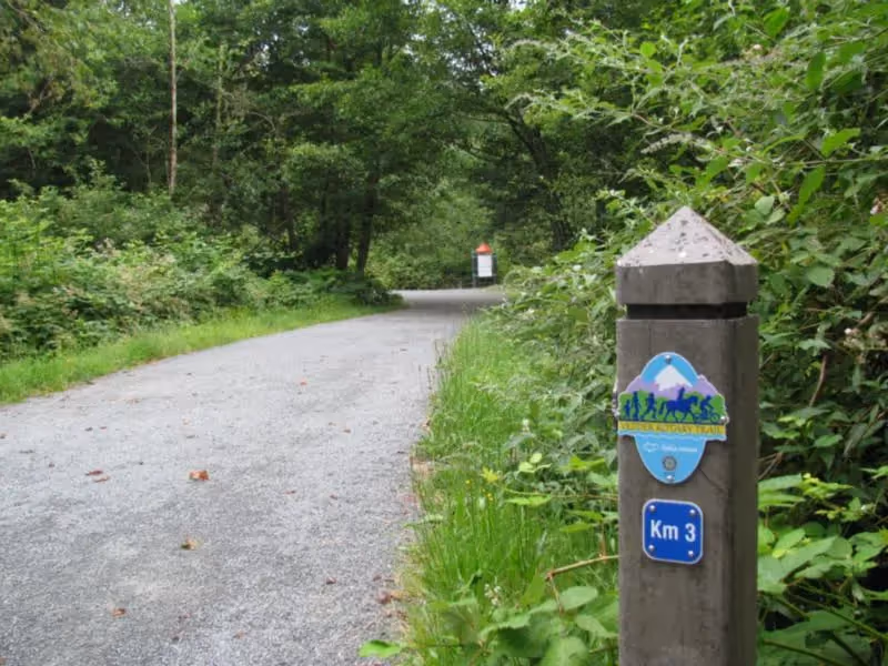 Vedder Rotary Trail sign posted beside the paved road in Chilliwack