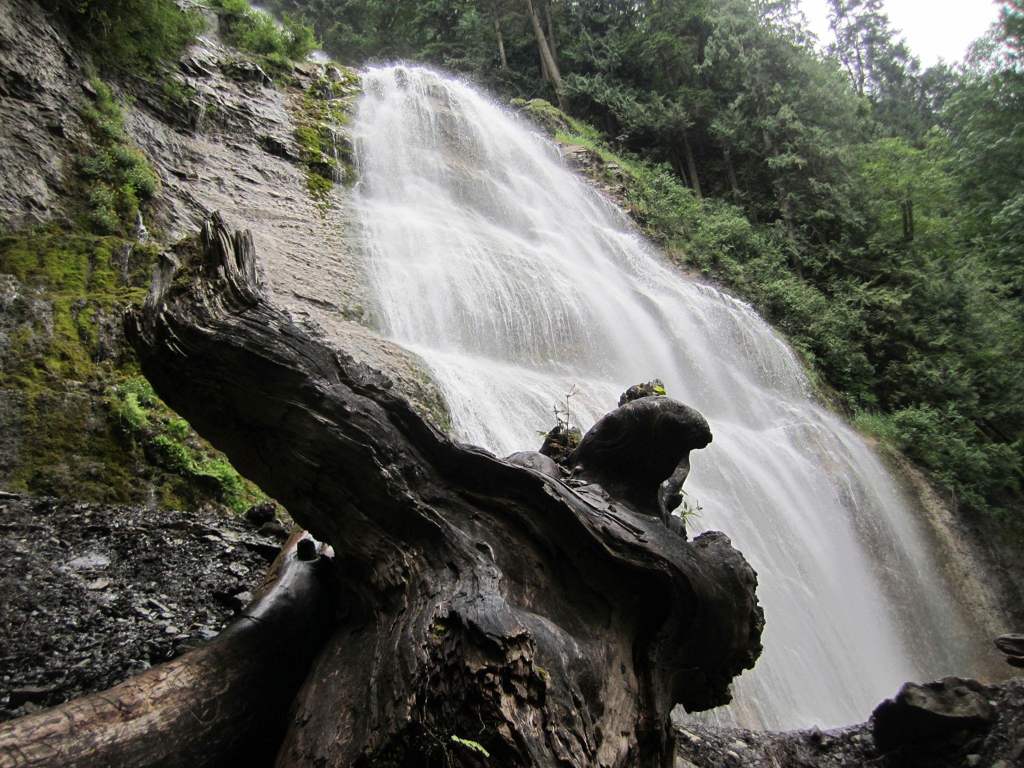 Bridal Veil Falls in Chilliwack, British Columbia, surrounded by lush forest and a cascading waterfall.