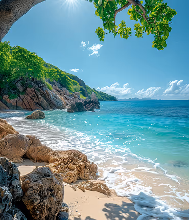 product detail image