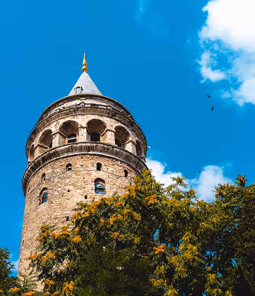 product detail image